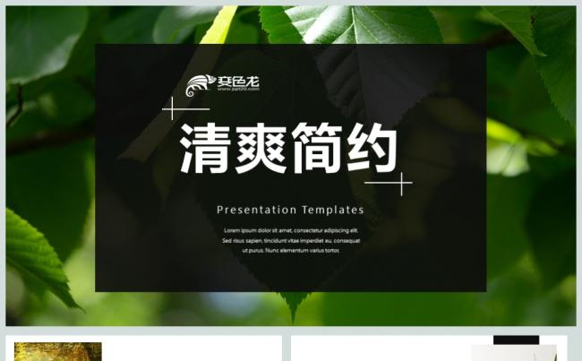清爽简约大气公司简介ppt企业介绍ppt缩略图