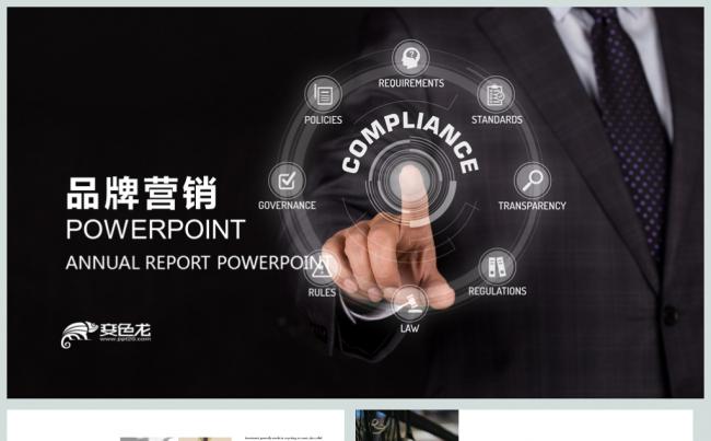 商务企业品牌营销技巧工作总结 PPT模板缩略图