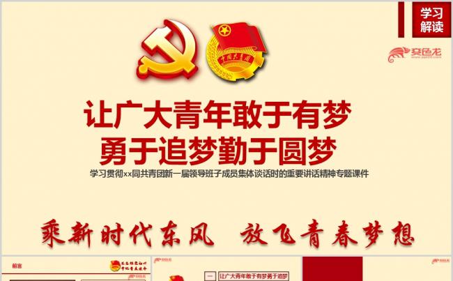 同共青团新一届领导班子成员集体谈话时的重要讲话精神ppt课件缩略图