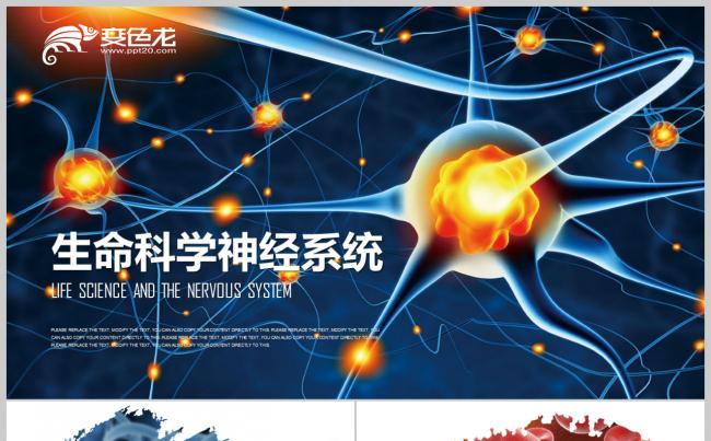 医学细胞 生物基因DNA 病理医学研究细菌病毒微PPT缩略图
