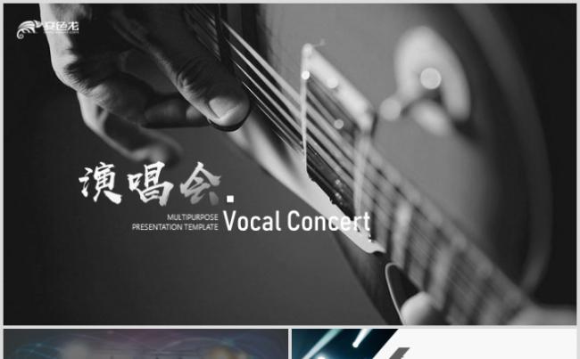 高端演唱会商业计划书明星巡回演出音乐晚会营销策划PPT缩略图
