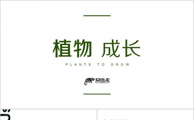 绿色生机 小苗生长 发芽植物成长 儿童成长教育培训ppt缩略图
