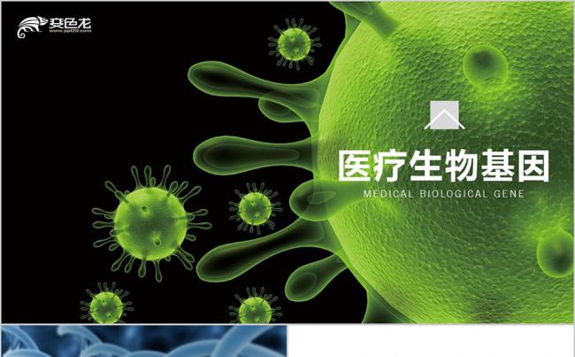 绿色生物基因DNA 病理医学研究细菌病毒微生物细胞干菌PPT缩略图