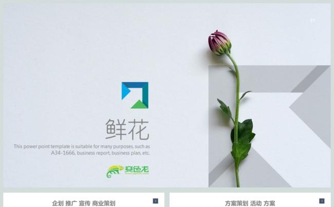 花卉营销活动策划书方案商务PPT模板缩略图