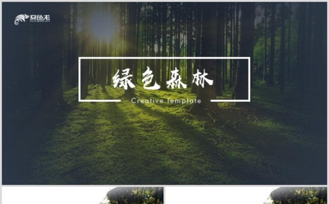 原始森林湿地植树造林森林环境环保PPT模板缩略图