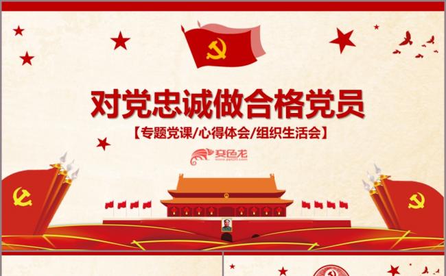 对党忠诚做合格党员PPT模板缩略图