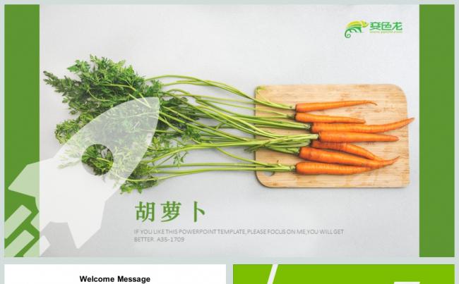 素食胡萝卜蔬菜销售总结PPT缩略图