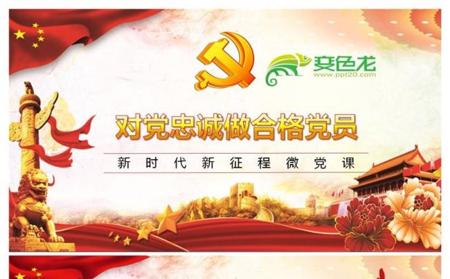 十九大对党忠诚做合格党员ppt模板缩略图