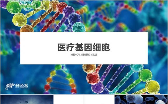 绿色生物基因DNA 病理医学研究细菌病毒微生物细胞干菌PPT缩略图