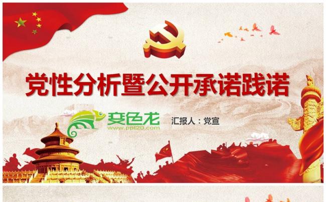 党性分析暨公开承诺践诺PPT课件缩略图