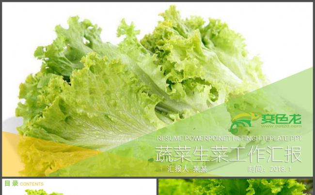 蔬菜生菜产品宣传介绍PPT模板缩略图