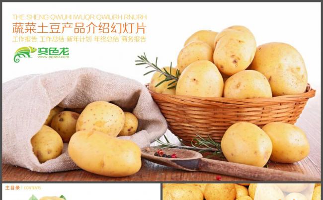 蔬菜土豆产品宣传介绍PPT 模板缩略图