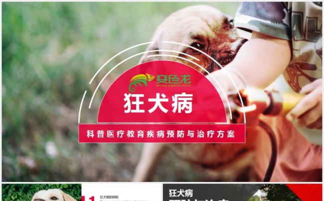 狂犬病疾病的预防与治疗PPT模板缩略图