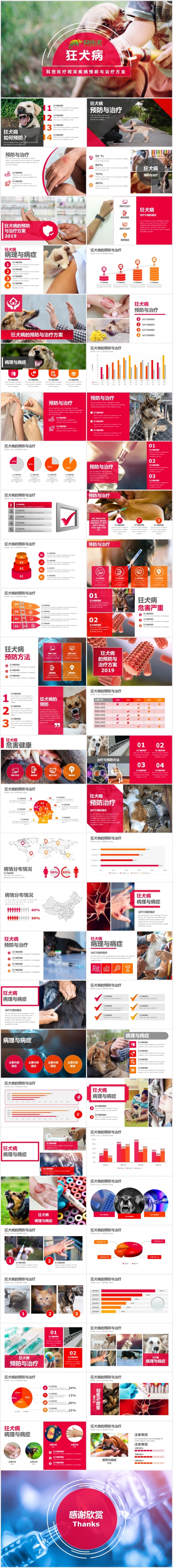 狂犬病疾病的预防与治疗PPT模板