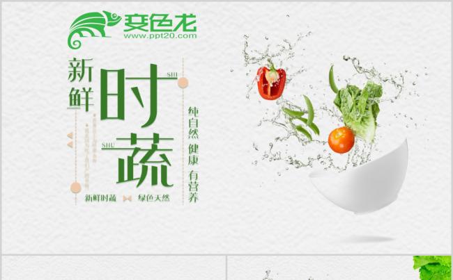 新鲜蔬菜农业蔬菜水果有机天然健康养生ppt模板缩略图