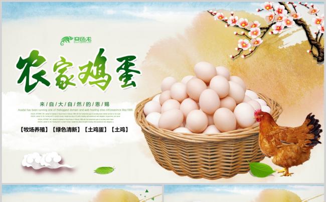 绿色有机农家土鸡有机土鸡蛋PPT模板缩略图
