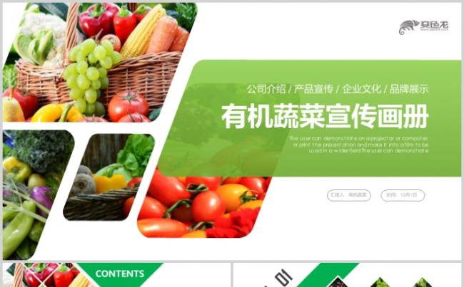 绿色有机蔬菜有机蔬果健康生活PPT模板缩略图