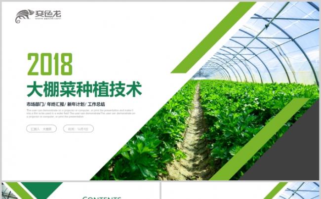 清新原生态大棚蔬菜果蔬种植基地ppt模板缩略图