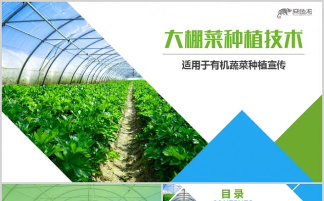 温室种植技术介绍大棚蔬菜果蔬种植基地PPT缩略图