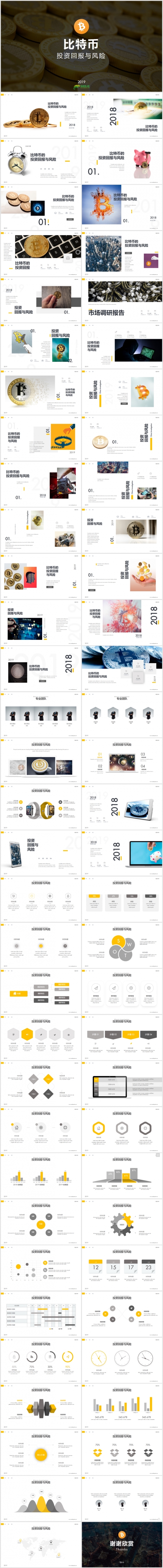 比特币世界虚拟币投资汇报风险与收益PPT
