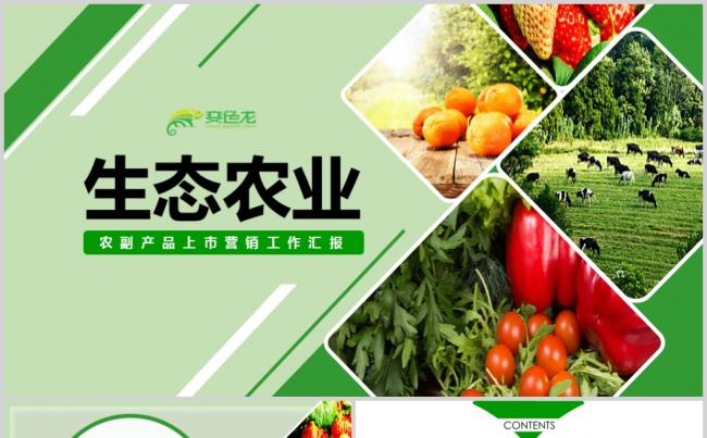 【境海】简约生态农业农副产品上市营销工作汇报商业计划书模板缩略图