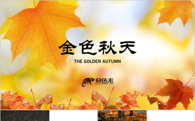 金秋秋游 你好秋天 秋季枫叶 中秋 邂逅秋天秋季PPT缩略图
