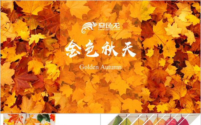 清新田园 收获季节 唯美小清新 邂逅秋天秋季 中秋重阳PPT缩略图