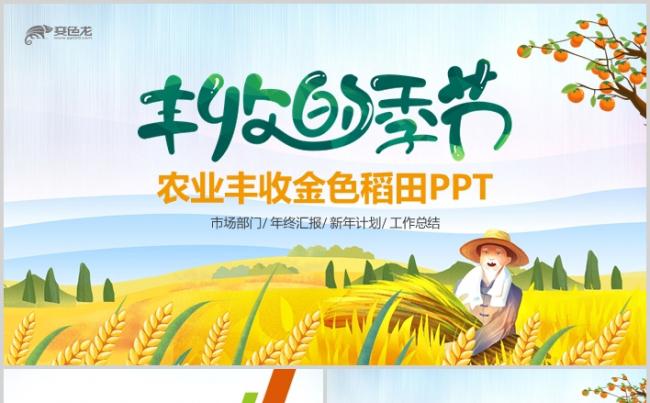 农业粮食农民丰收节小麦水稻玉米农村PPT缩略图