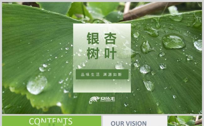 绿色渐变环保低碳公司简介商务ppt缩略图