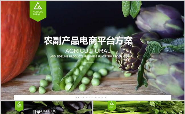 农副产品电商平台（B2B)）建设方案PPT缩略图