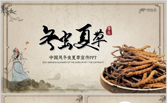 冬虫夏草中药中医秋季冬季养生PPT模板缩略图