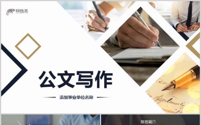 高端党建工作汇报工作总结范文公文写作PPT缩略图