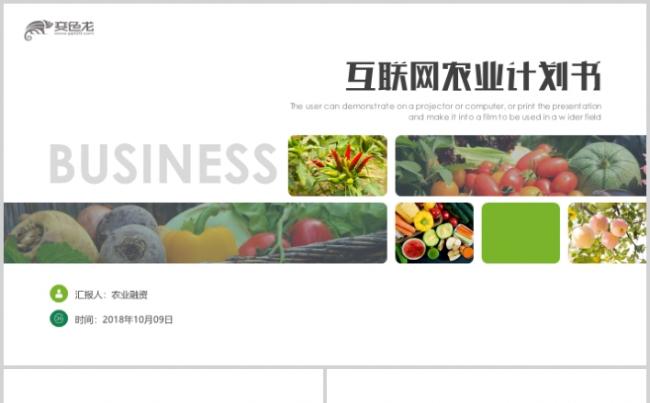 高端绿色互联网农副产品商业计划书融资策划PPT缩略图