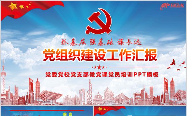 大气党组织建设工作汇报述职报告总结演讲PPT模板缩略图