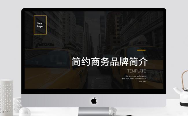 欧美简约商务品牌简介PPT模板缩略图
