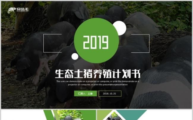 创意生态土猪养殖商业计划书PPT2019农业招商汇报缩略图