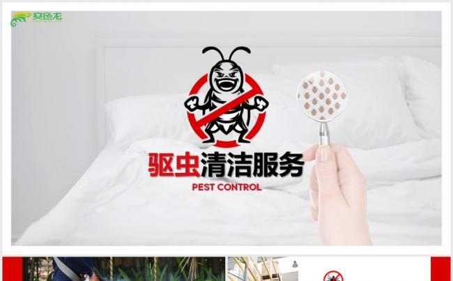驱虫灭蚁灭鼠清洁杀虫服务公司简介PPT模版缩略图