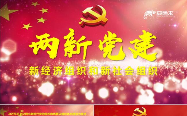两新党建工作会议党的基层组织建设党课两学一做十九大PPT模板缩略图