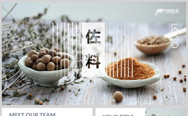 餐饮调料稳重内容详细商业计划书ppt模板缩略图