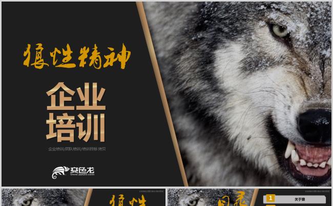 企业培训狼性精神团队精神PPT模板缩略图