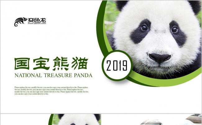 保护动物吃竹子国宝熊猫野生动物野生动物 熊猫竹子国家保护动物缩略图