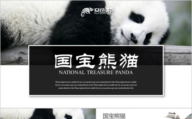 野生动物国宝大熊猫动物保护公益宣传野生动物 大熊猫动物保护缩略图