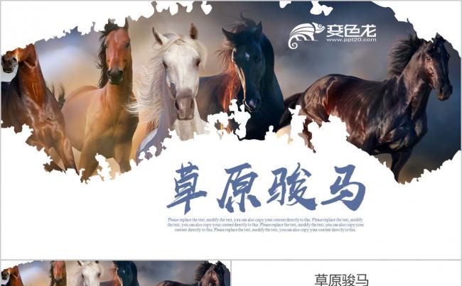 草原旅游绿色草原骏马自由马儿西藏牧民马场 青海旅游 放牧骏马缩略图
