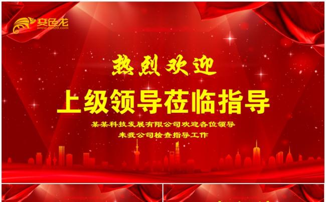 热烈欢迎领导莅临指导检查PPT模板缩略图
