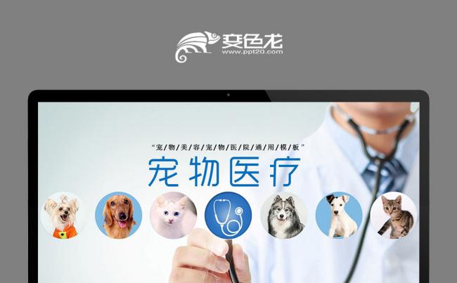 可爱时尚炫彩萌宠系列 商务宠物展示模板缩略图