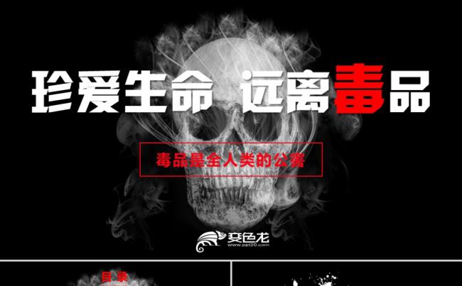 国际禁毒日珍爱生命远离毒品预防毒品宣传教育课件PPT模板缩略图
