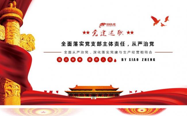 基层党支部党委党建工作总结述职述廉主体责任缩略图