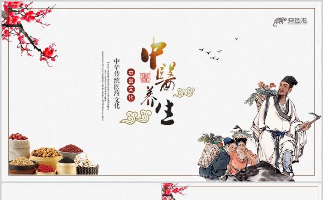 简约传统中医学中医院中医文化中草药PPT模板缩略图