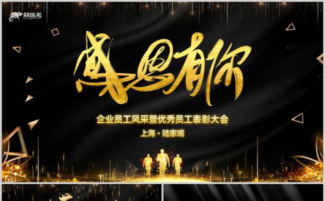 黑金大气2019感谢有你企业年会员工风采展示照片墙PPT缩略图