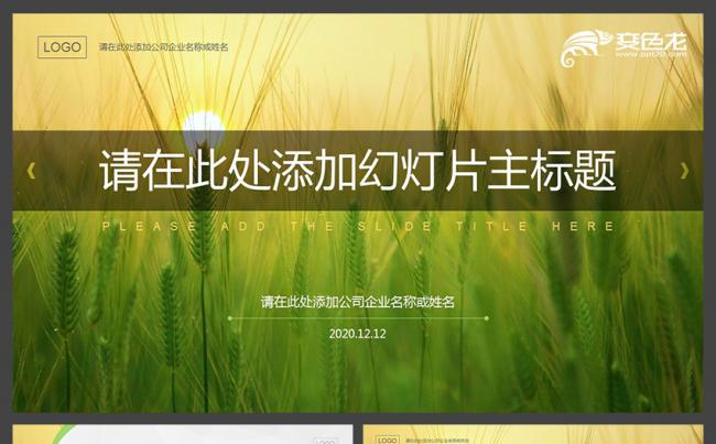 黄绿色麦穗环保清新简洁教育职场计划总结汇报通用PPT模板缩略图